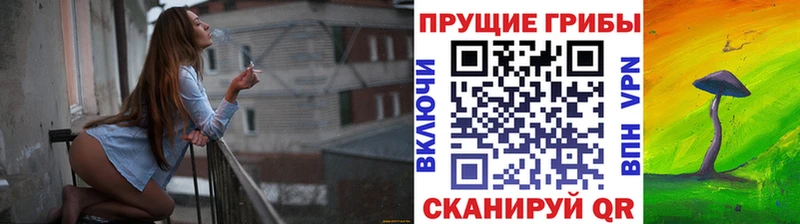 блэк спрут зеркало  магазин продажи   Новопавловск  Псилоцибиновые грибы мицелий 