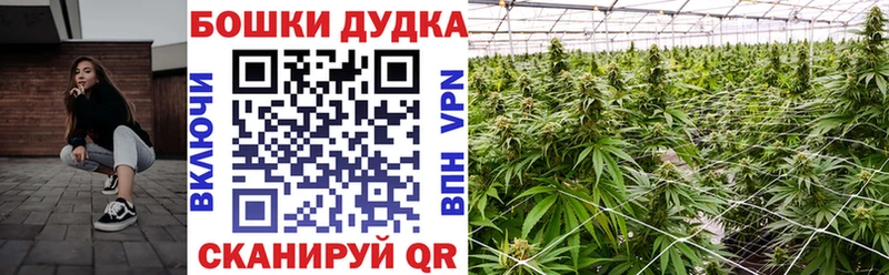 MEGA   Новопавловск  Шишки марихуана гибрид 